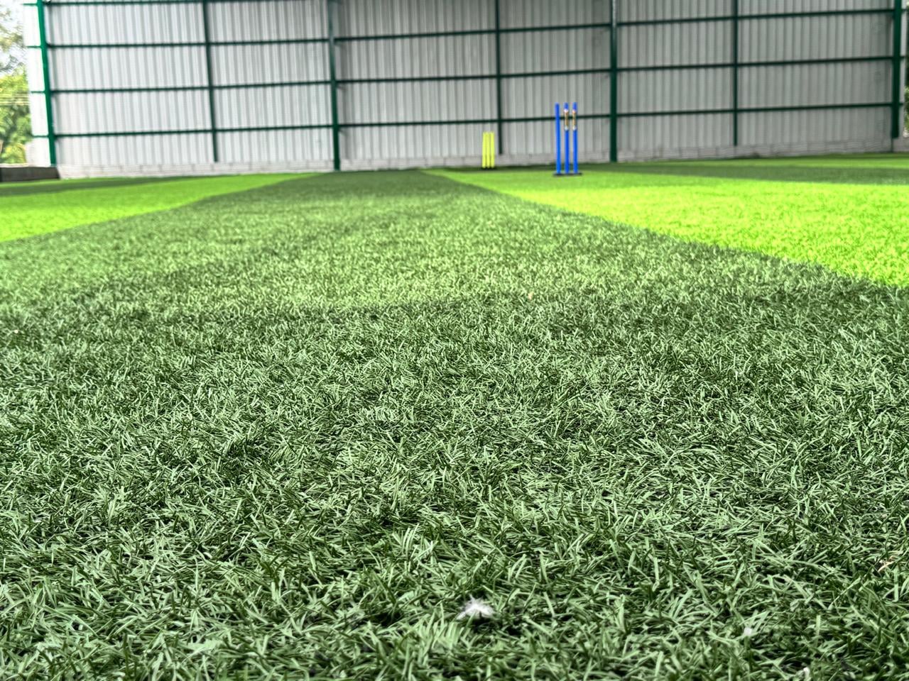 Turf photo 8
