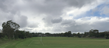 Box Hill Rugby Union Football Club