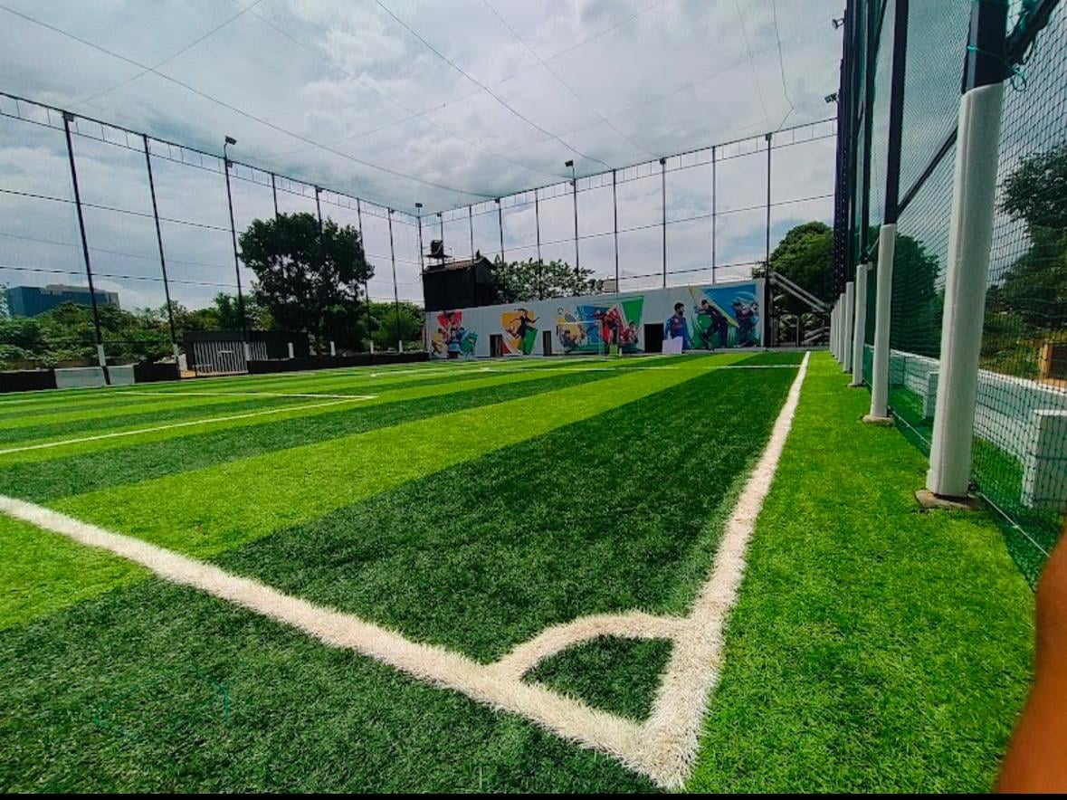 Turf photo 5