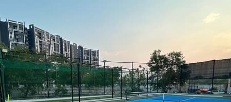 Breezy Paddle & Pitch