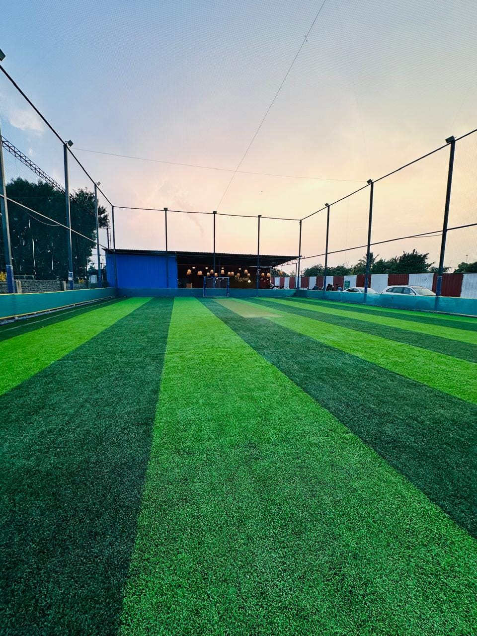 Turf photo 5