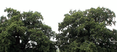 Bush Hill Park Golf Club