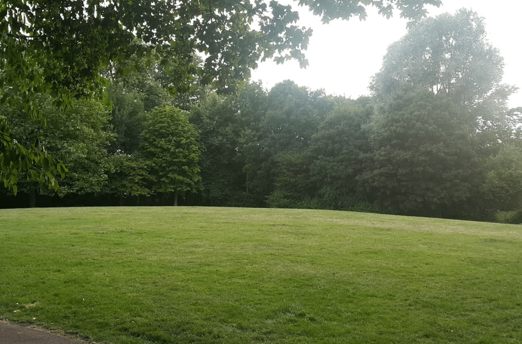 Butterfield Green