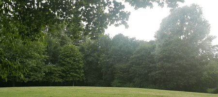 Butterfield Green