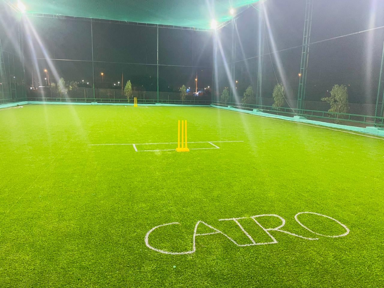 Turf photo 12