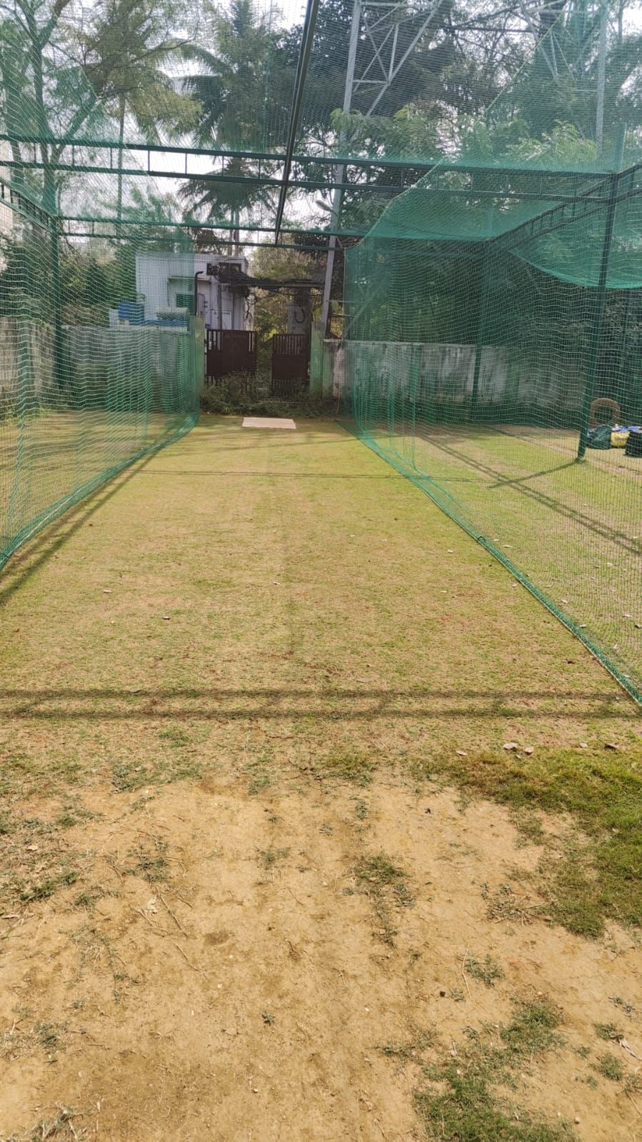 C for Cricket Academy