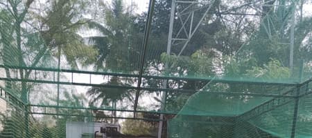 C for Cricket Academy