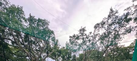 Champions Arena - Tirupati