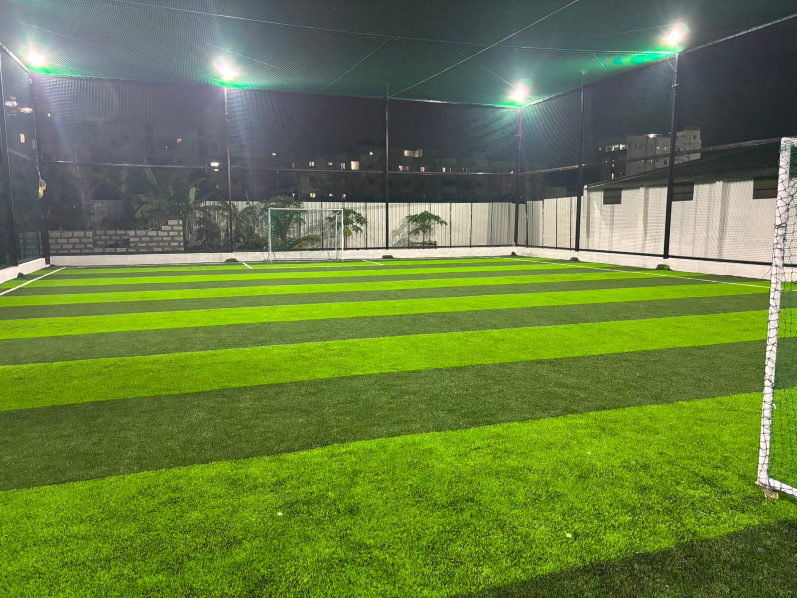 Turf photo 7