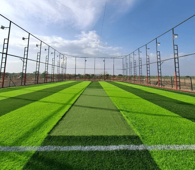 Turf photo 6