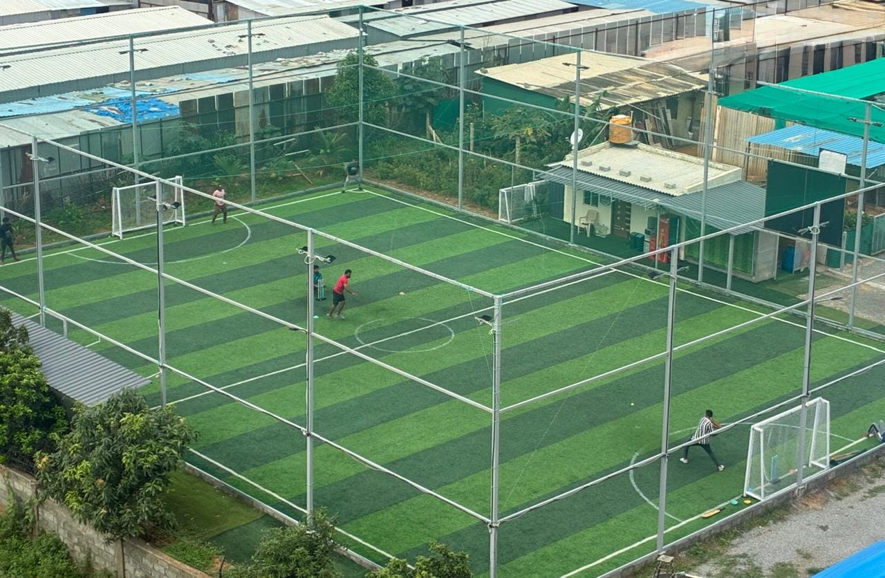 Turf photo 7