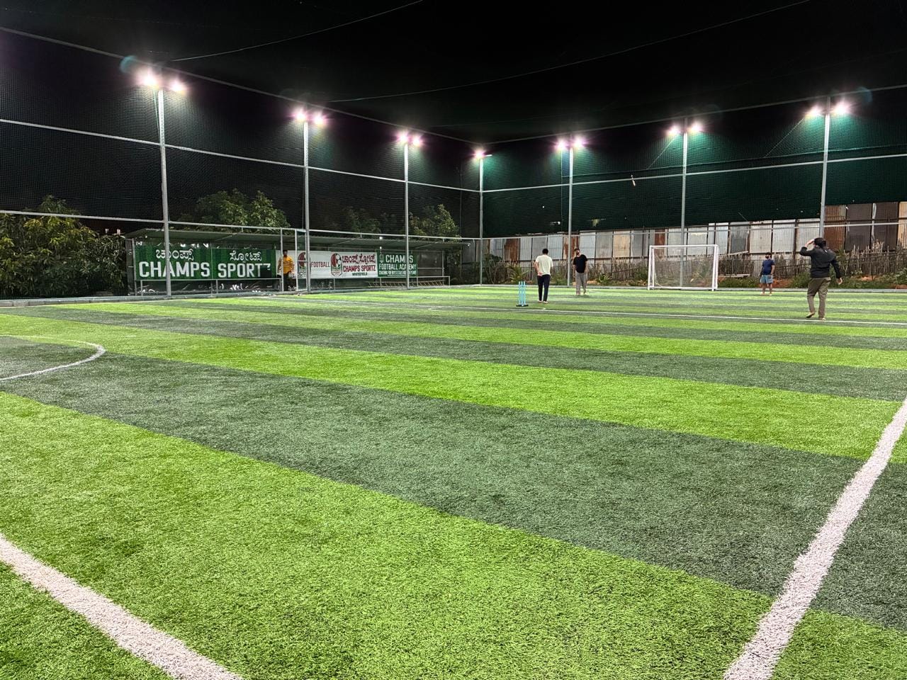 Turf photo 8