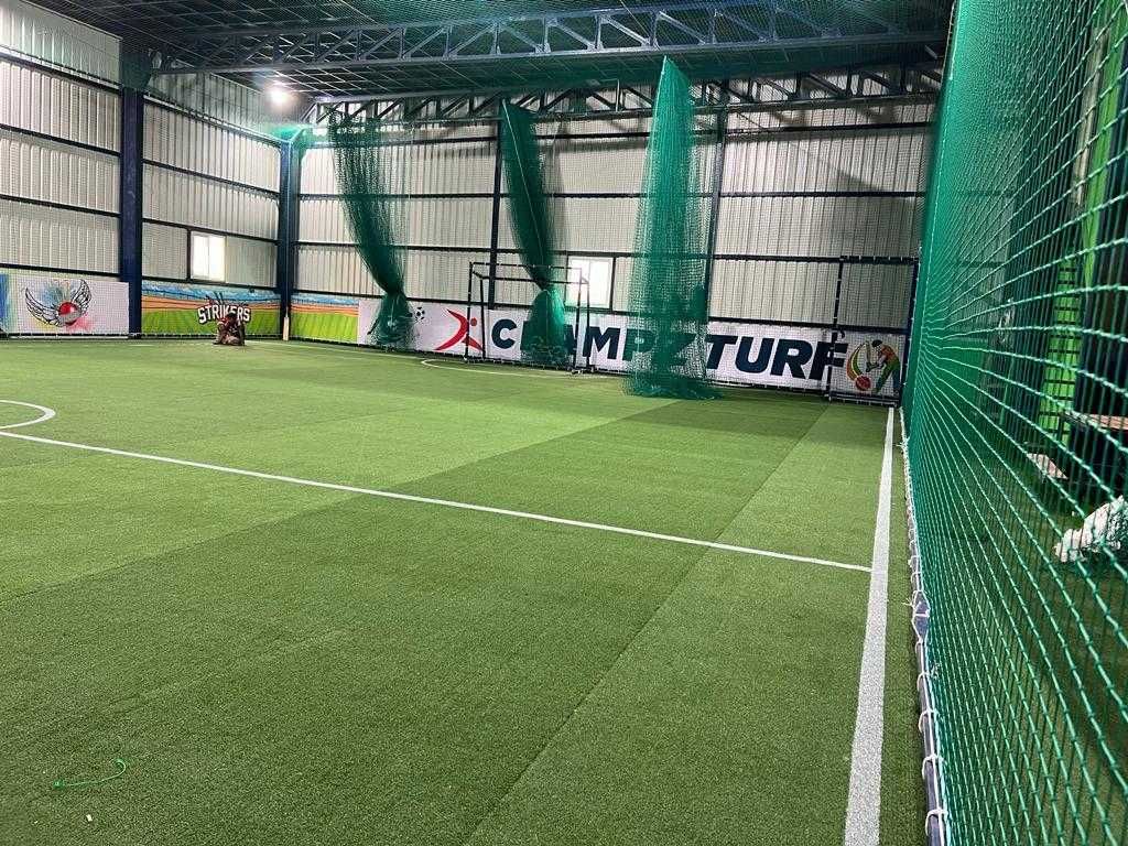 Champz Turf