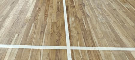 Chennai's Sports Academy