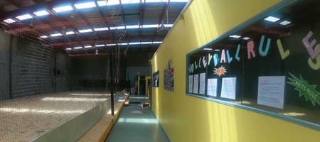CitySide Sports - Beach Volleyball - Beach Netball
