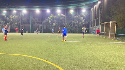 City Turf