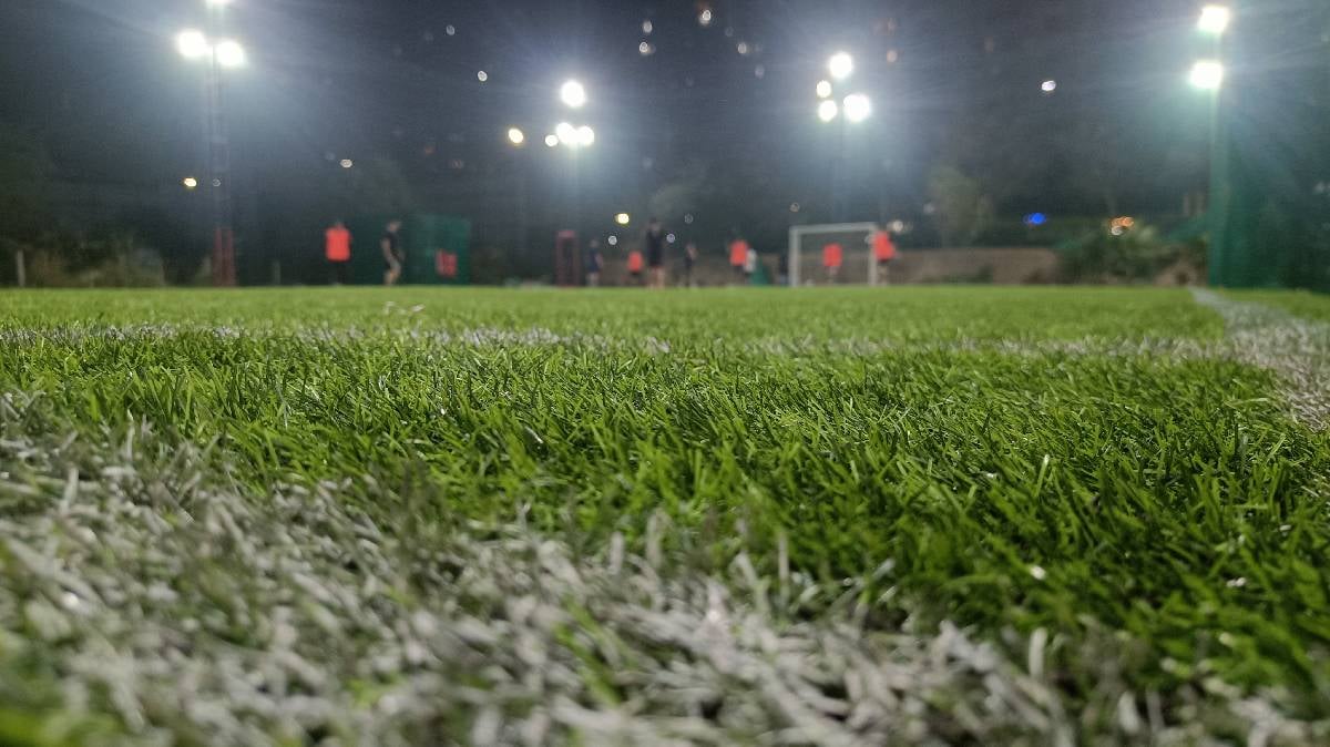 Turf photo 5