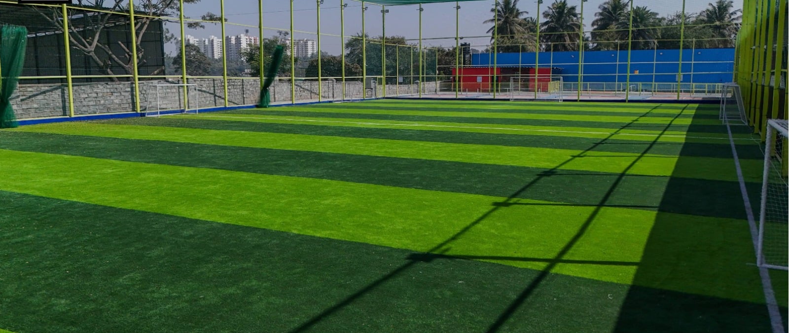 Turf photo 7