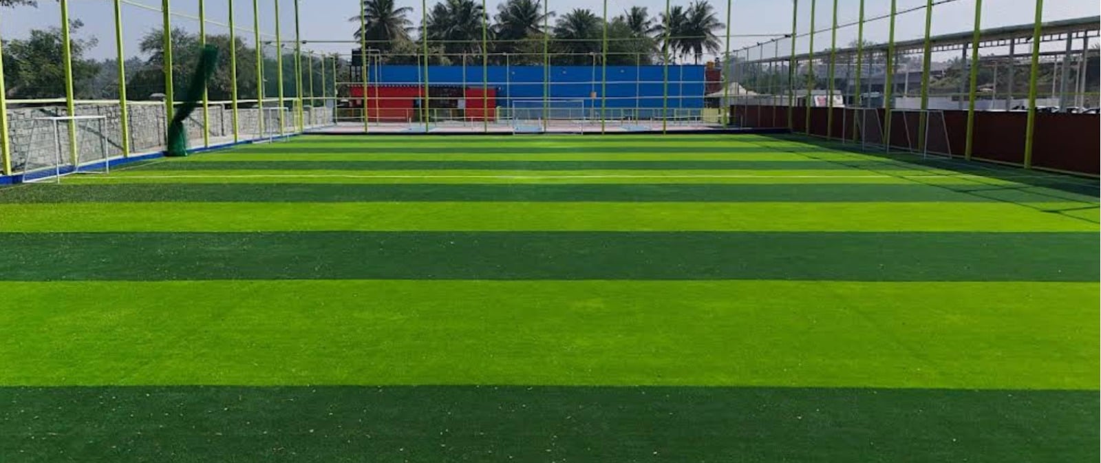 Turf photo 8