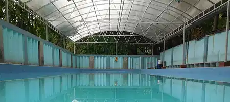 College Square swimming club