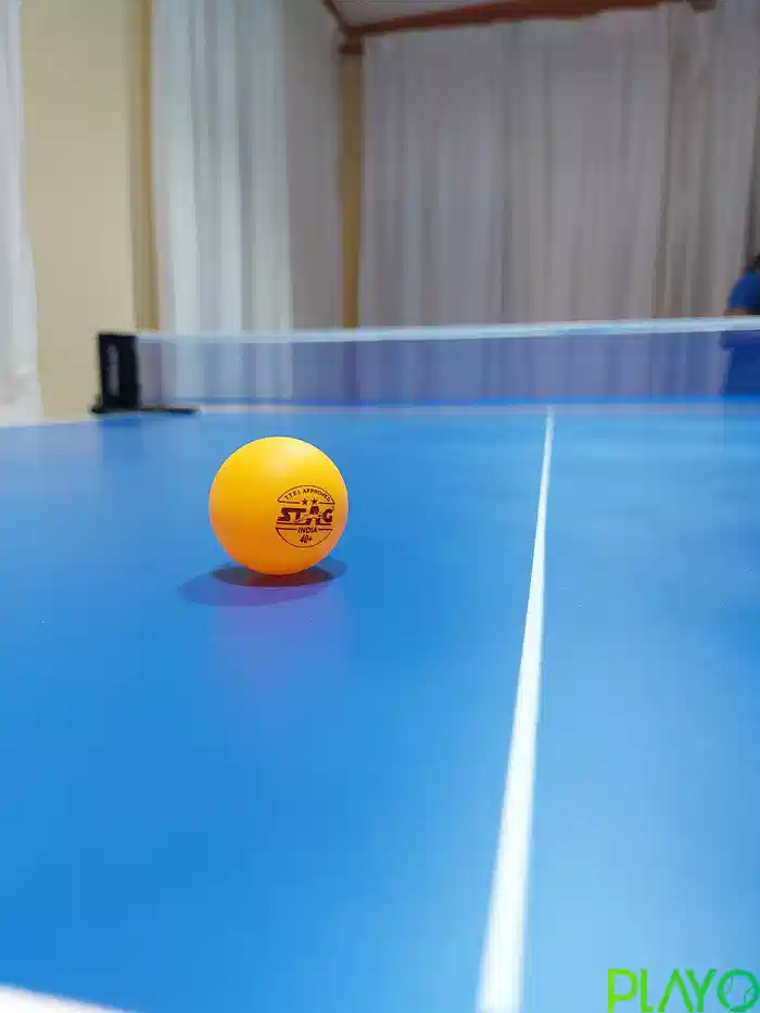 Colors Table Tennis image