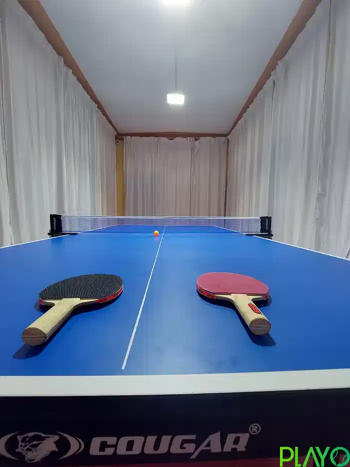 Colors Table Tennis image