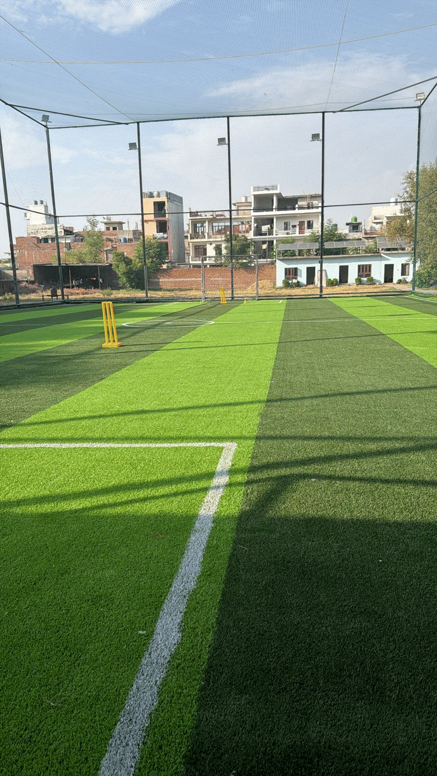 Courtside Turf
