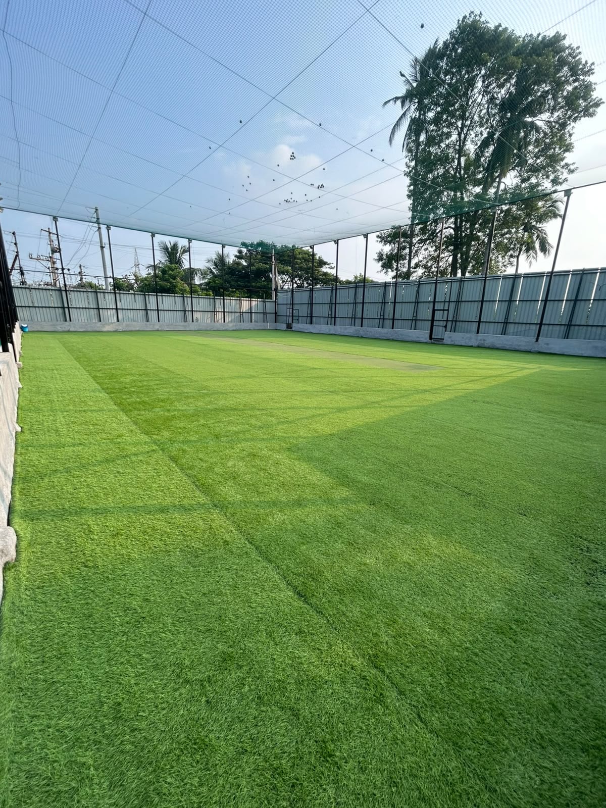 Crease11 Cricket Turf And Arena