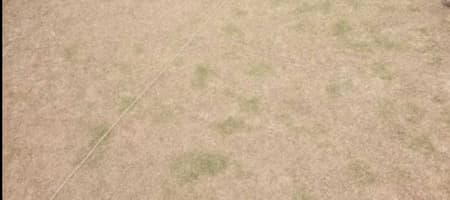 Cric Biz Cricket Academy - Hosur Main Road