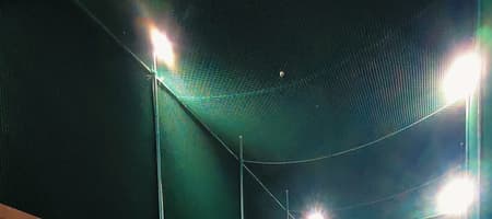 Cricfields