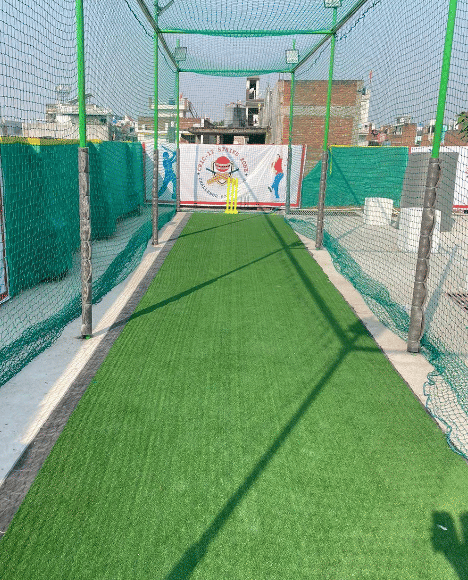 Cric-it Strike Zone