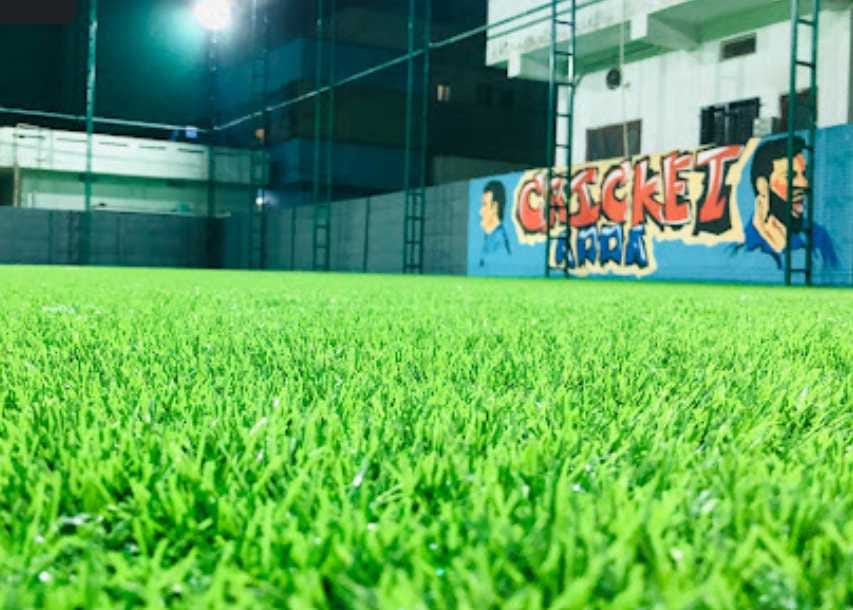 Turf photo 6