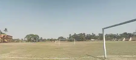 Cricket Practice Net
