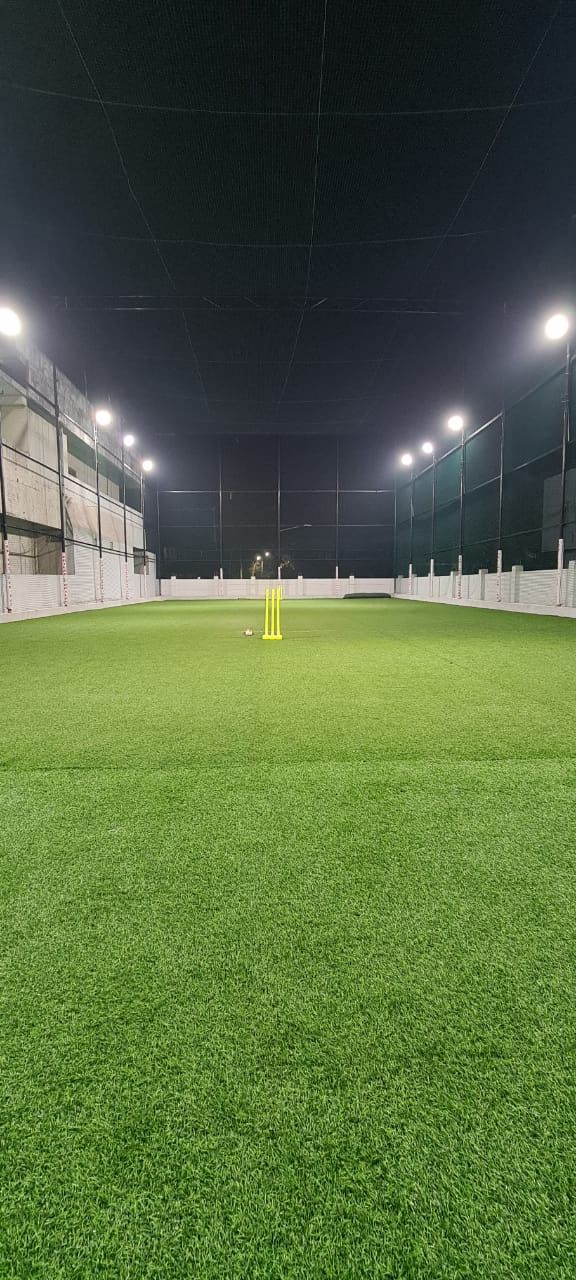 Crilax by Penumudi's