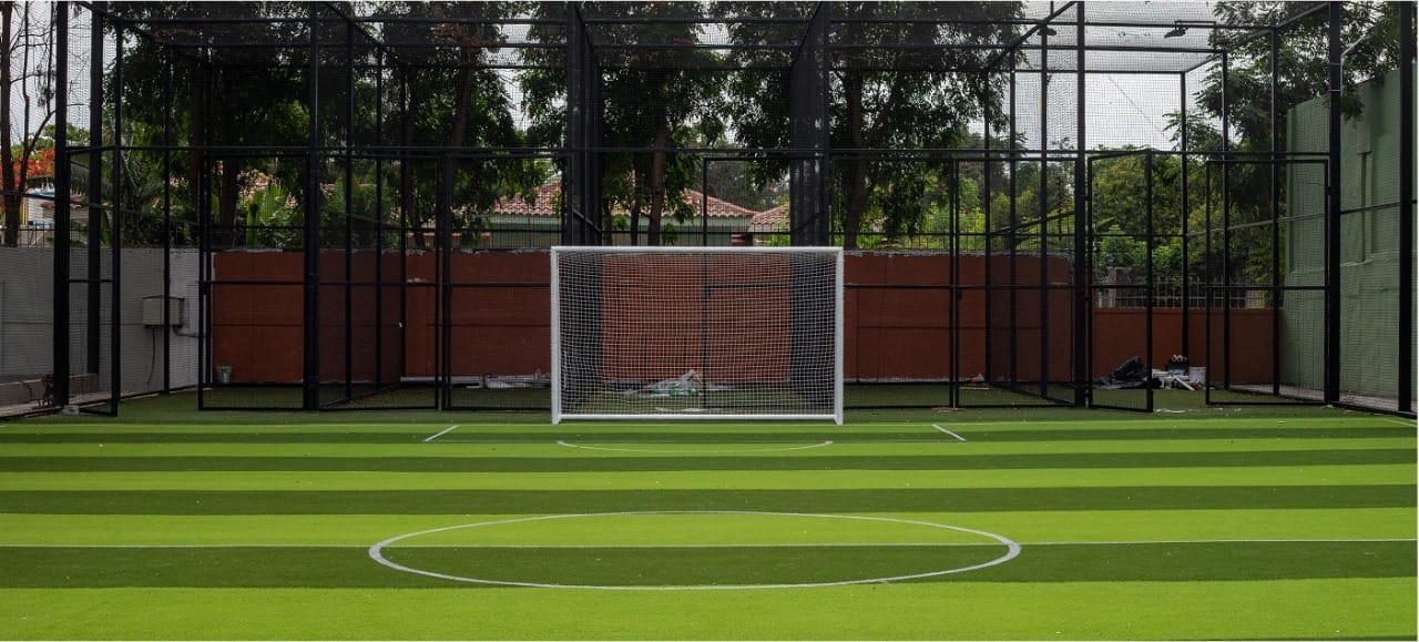 Turf photo 8