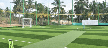 Crown 360 Turf