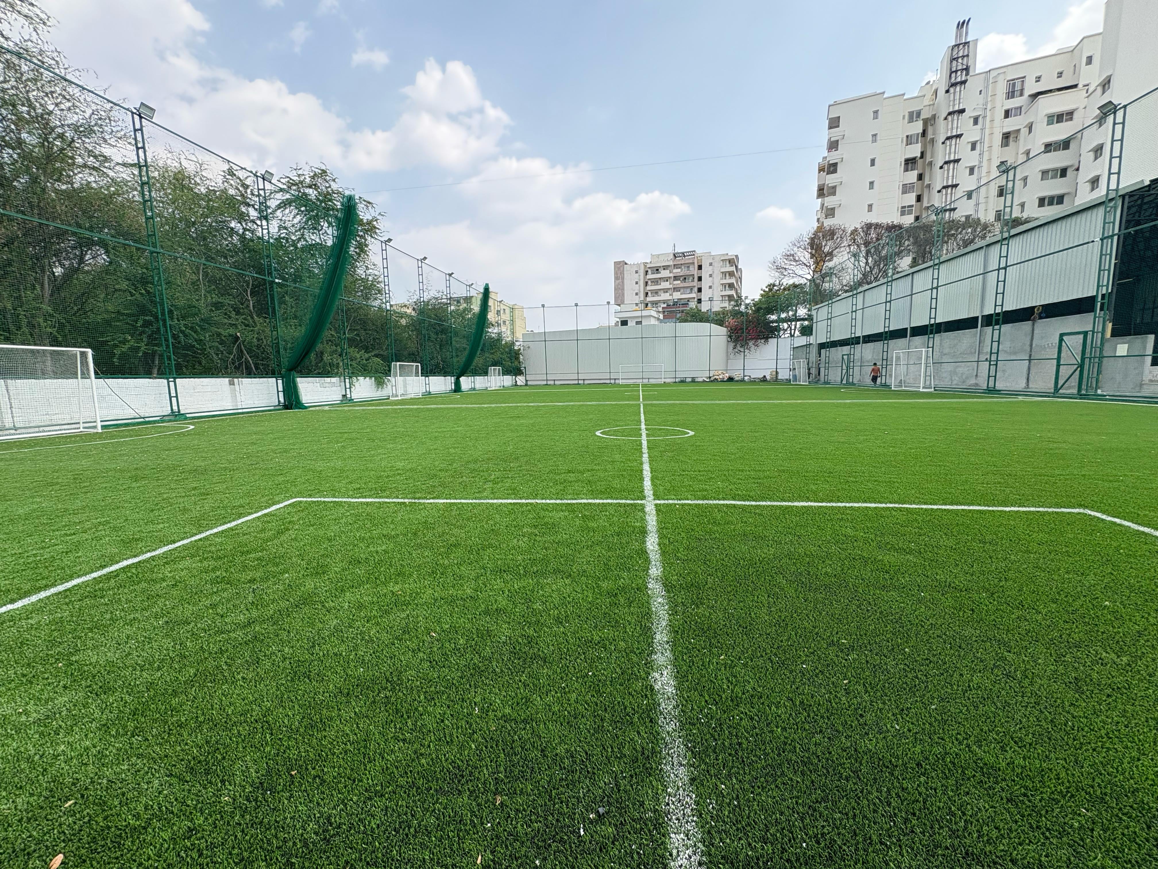 Turf photo 5