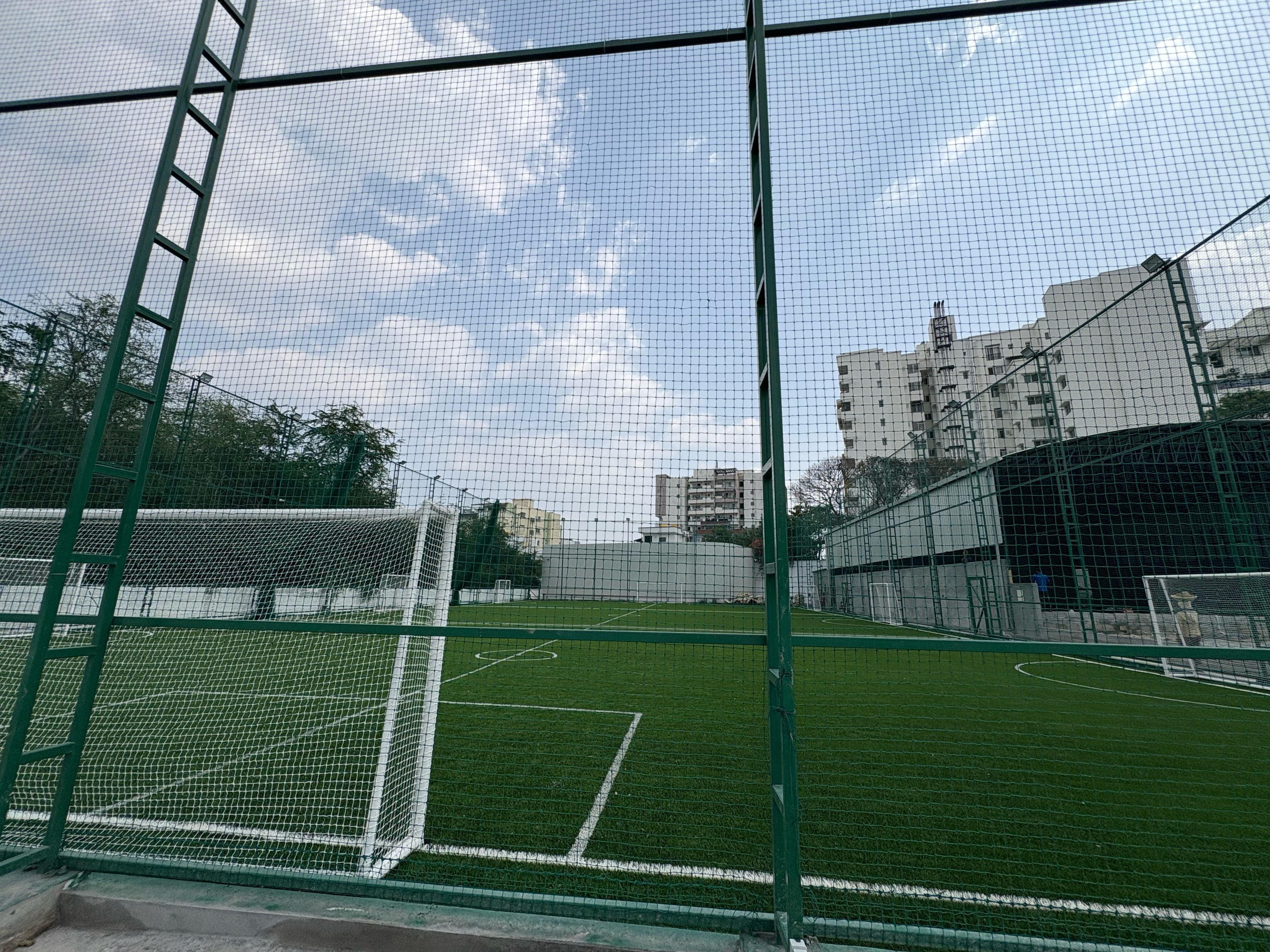 Turf photo 6
