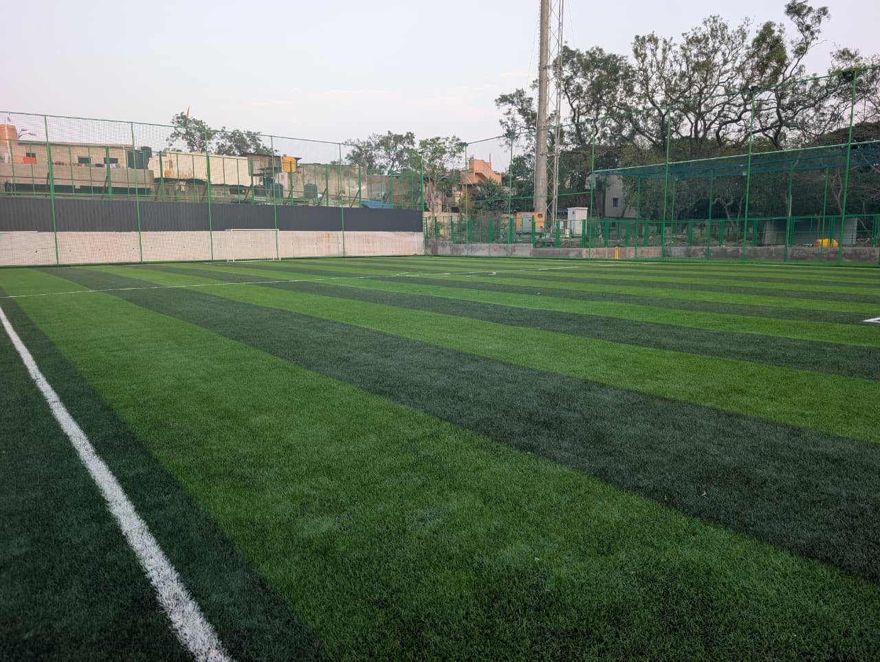 Turf photo 5