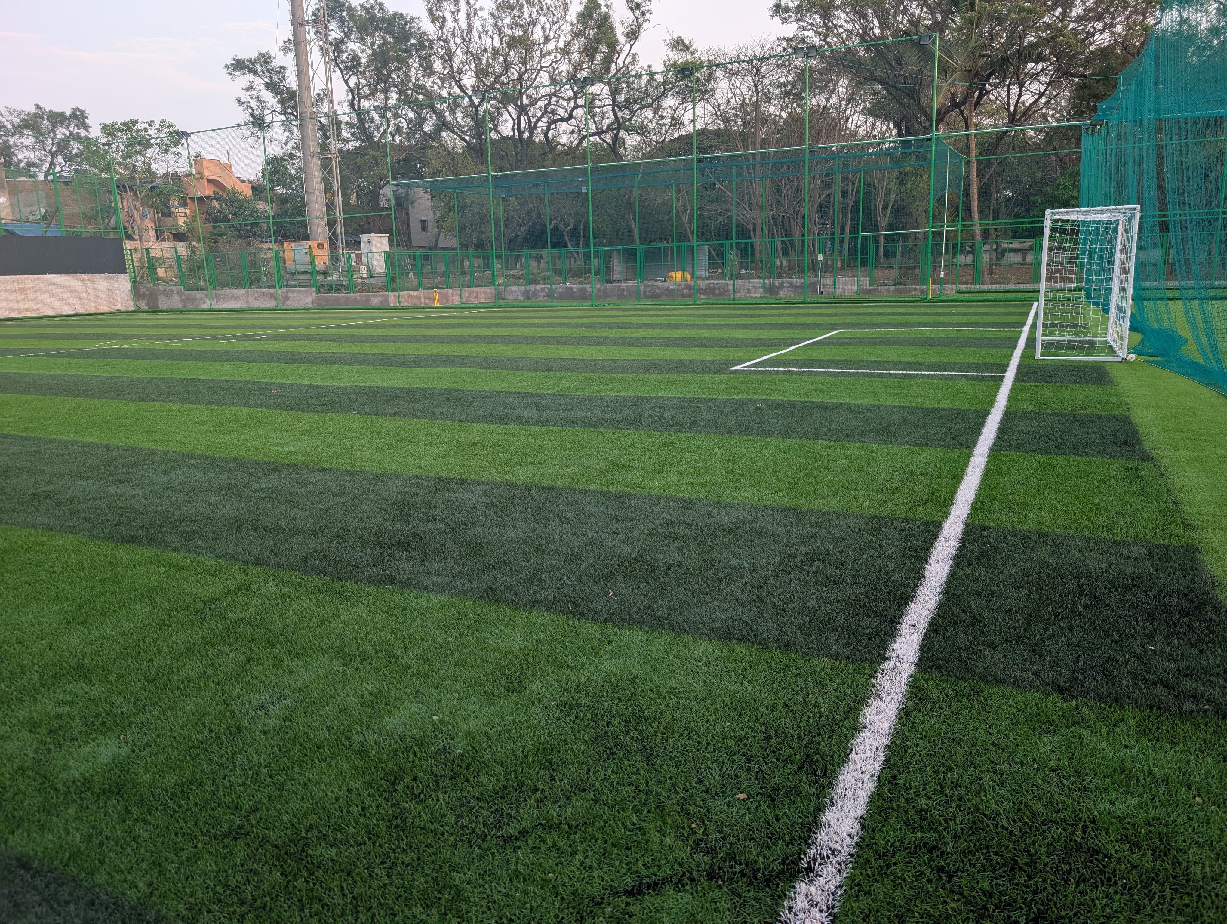 Turf photo 6