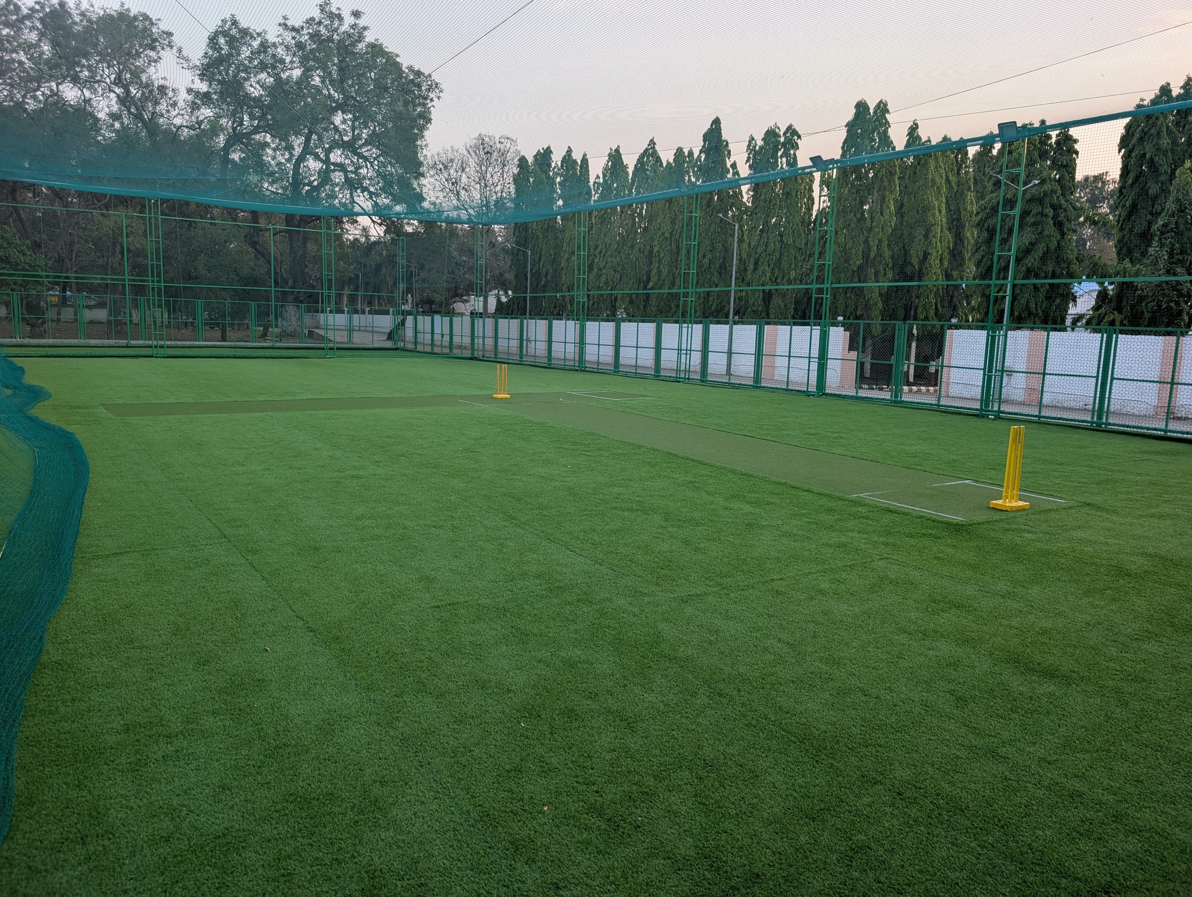 Turf photo 7