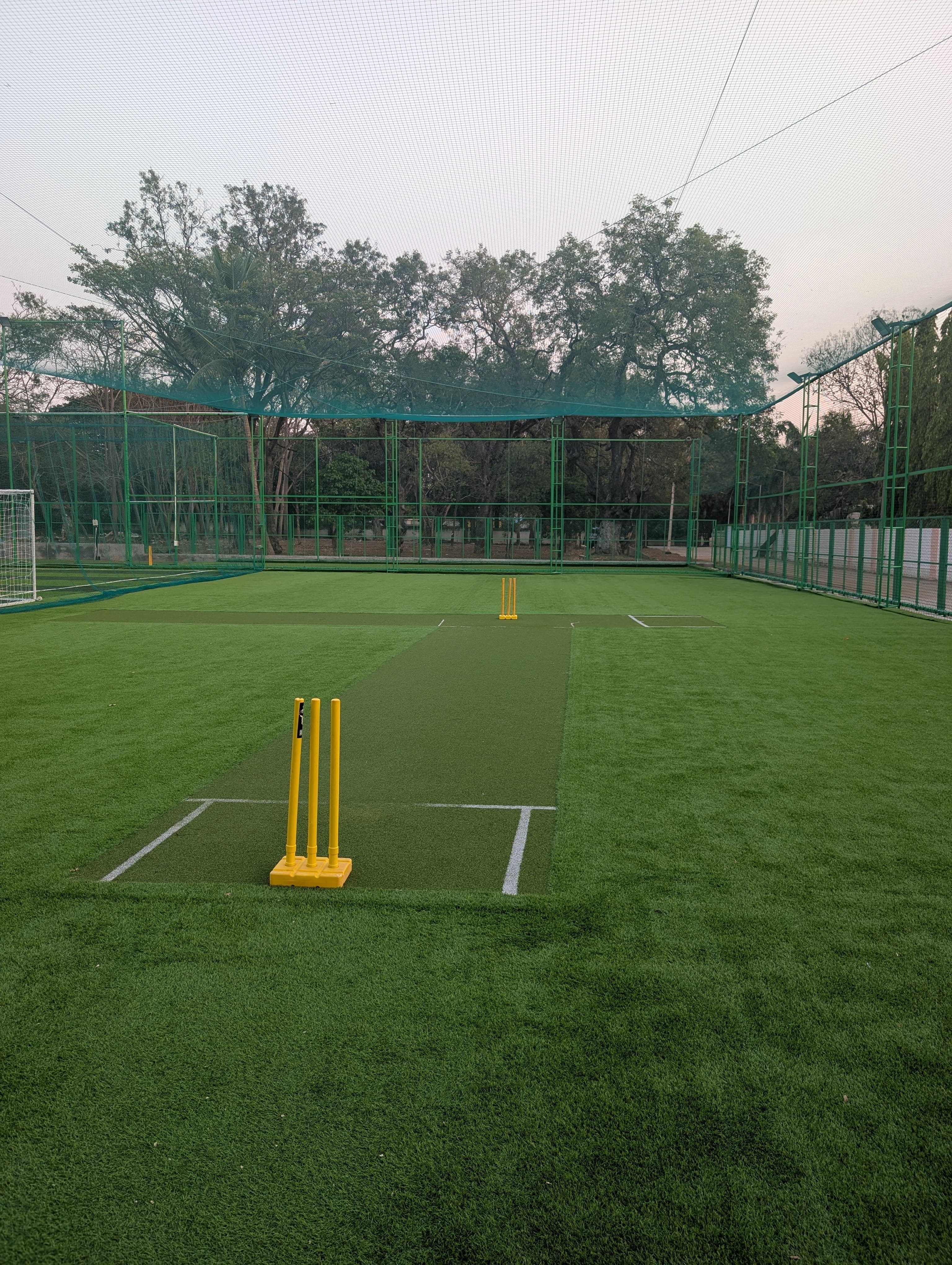 Turf photo 8