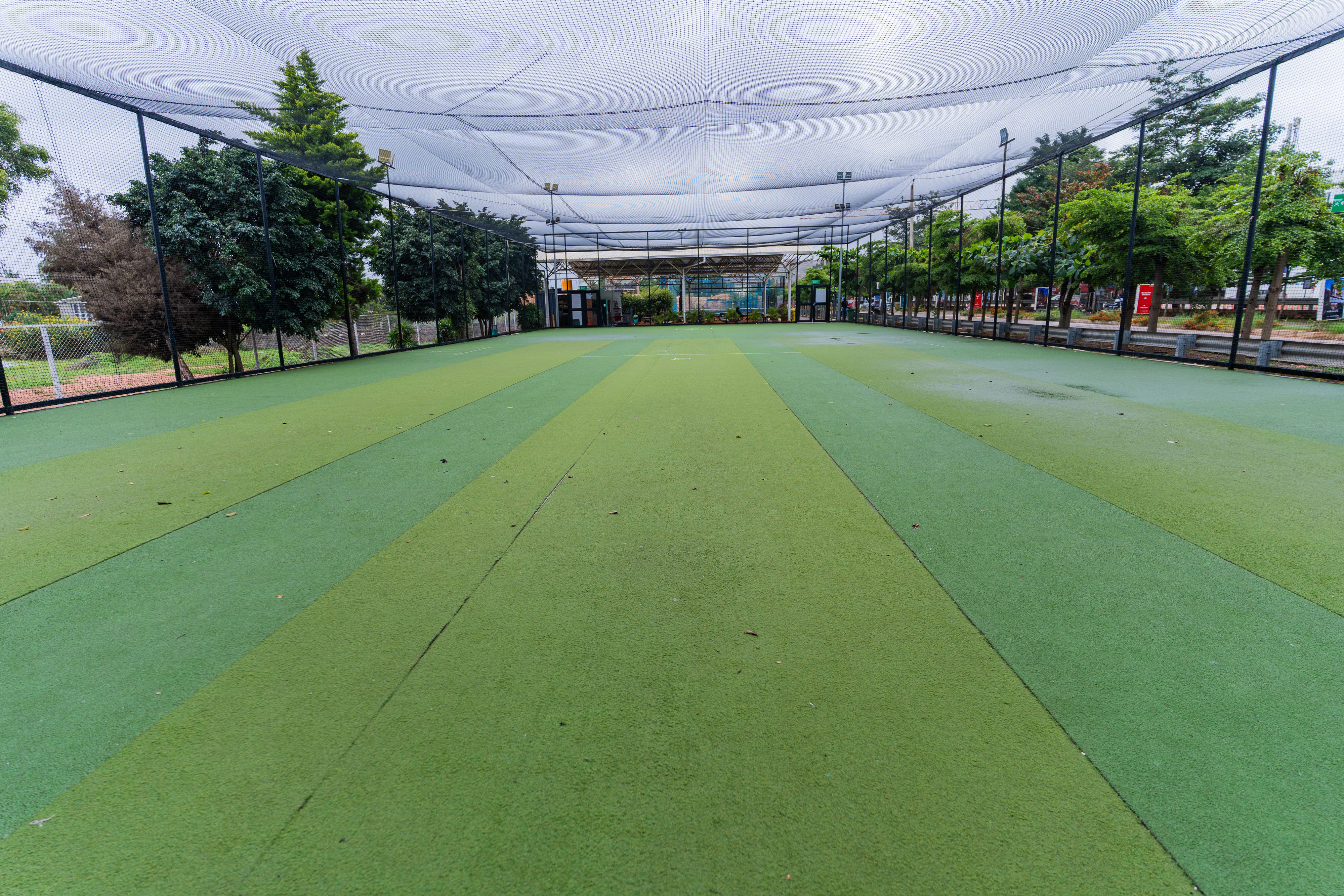 Turf photo 4