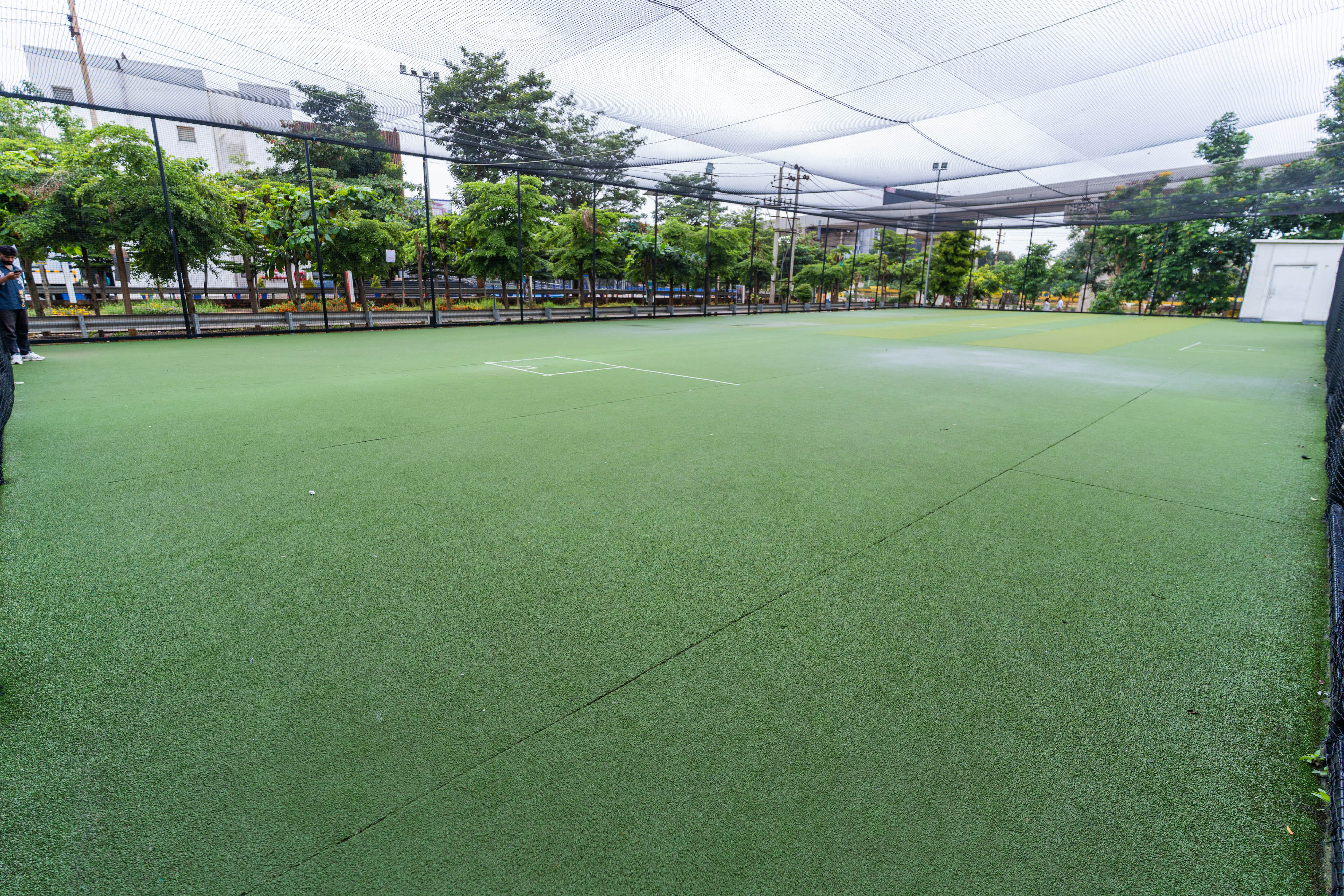 Turf photo 11