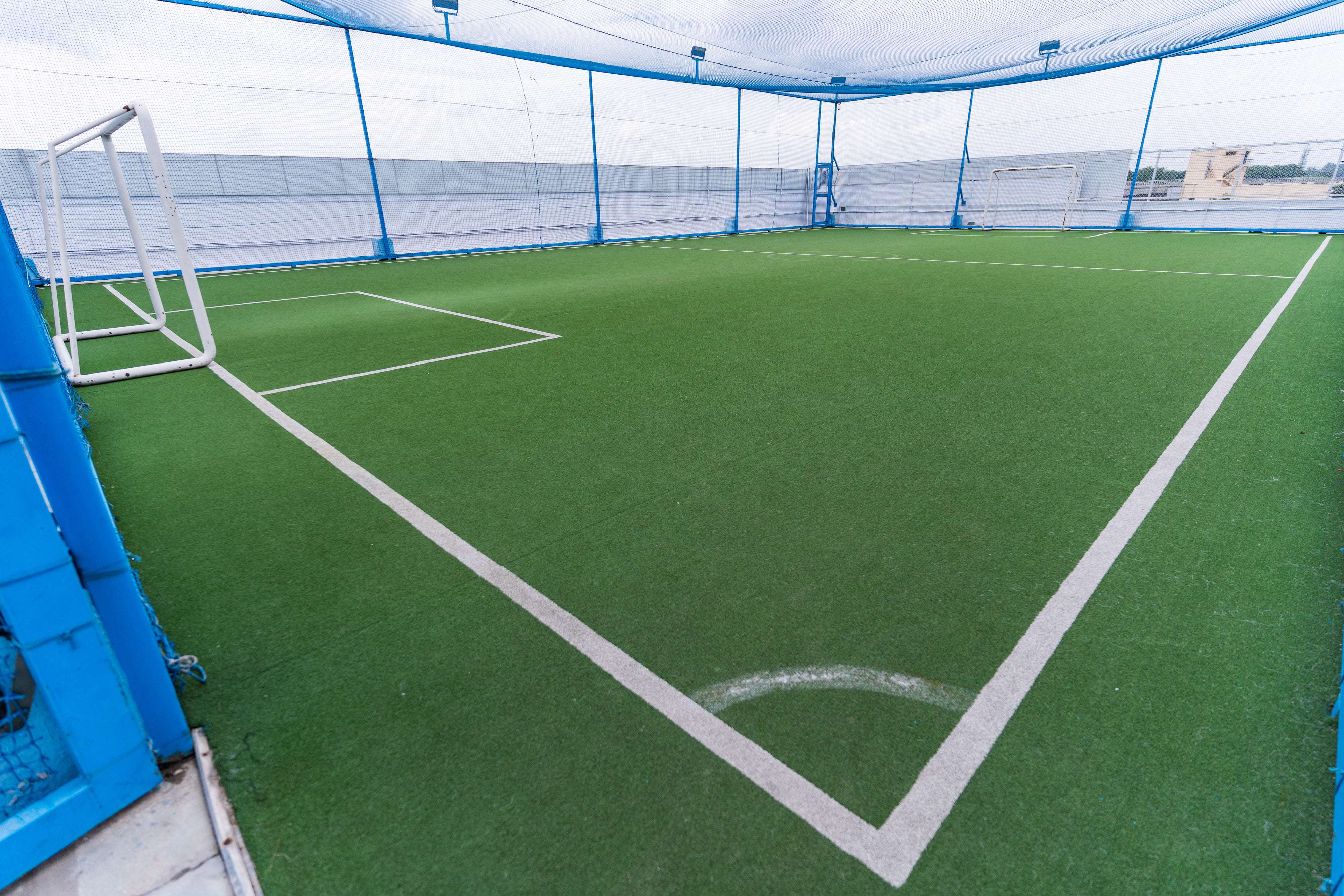 Turf photo 3