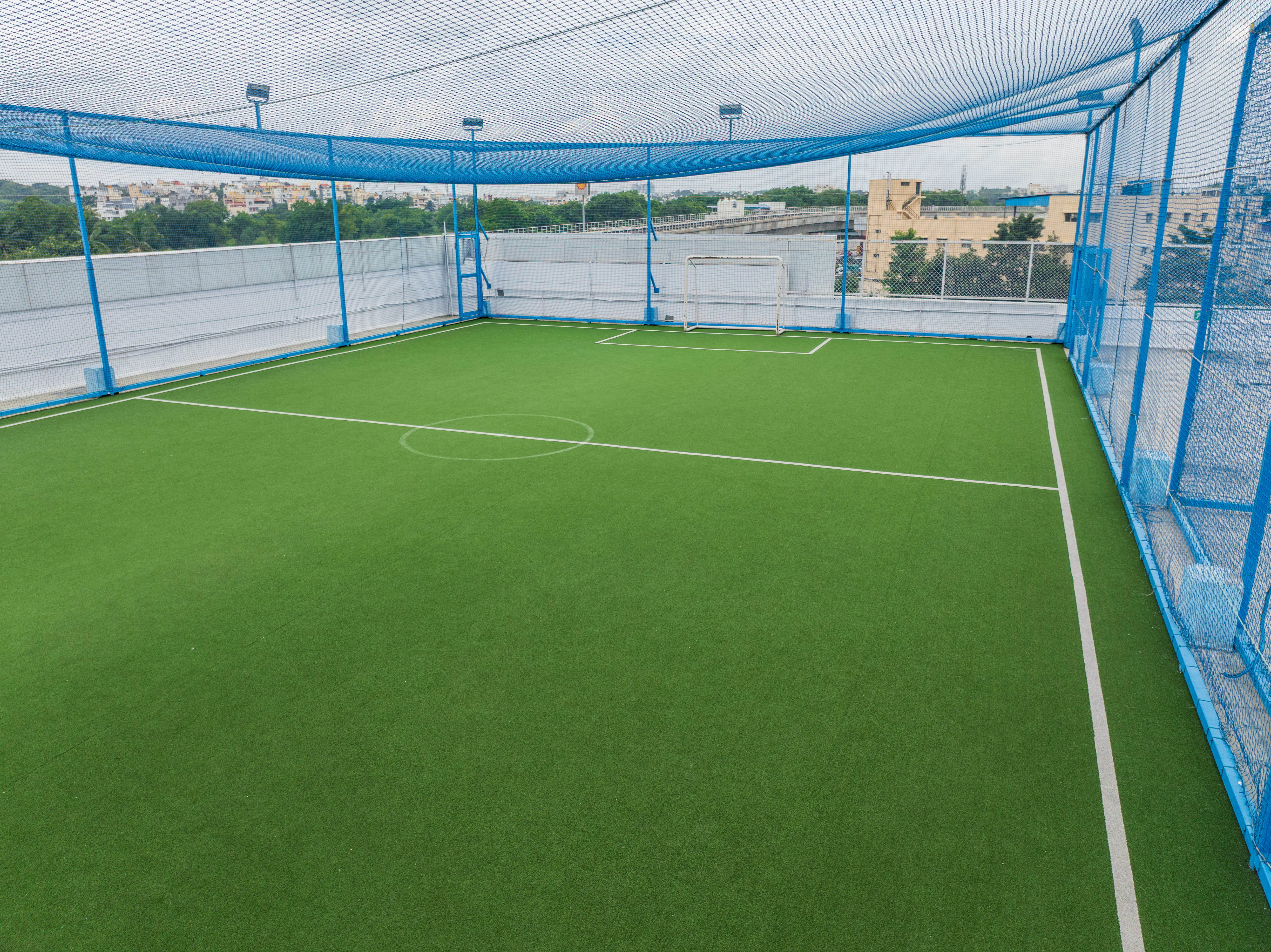 Turf photo 6