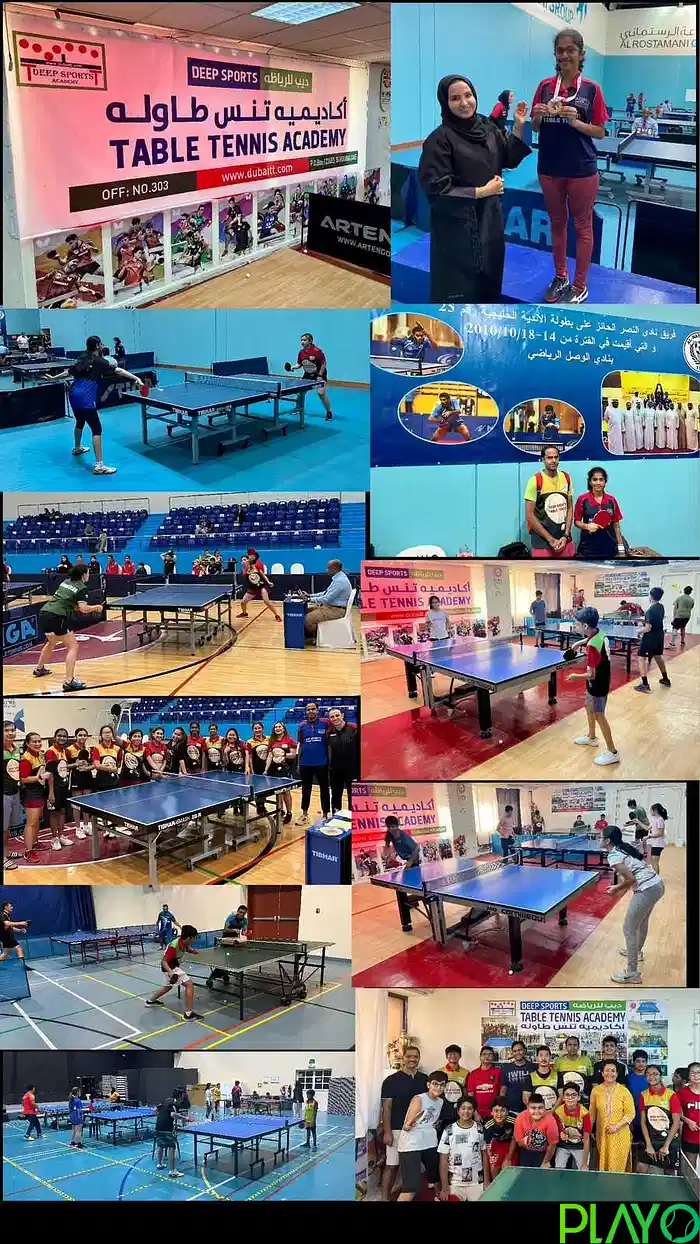 DEEP Table Tennis Academy image