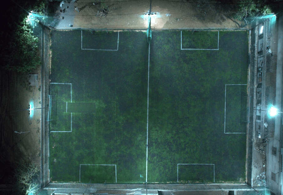 Defender Turf