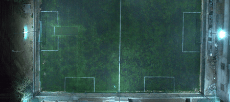 Defender Turf