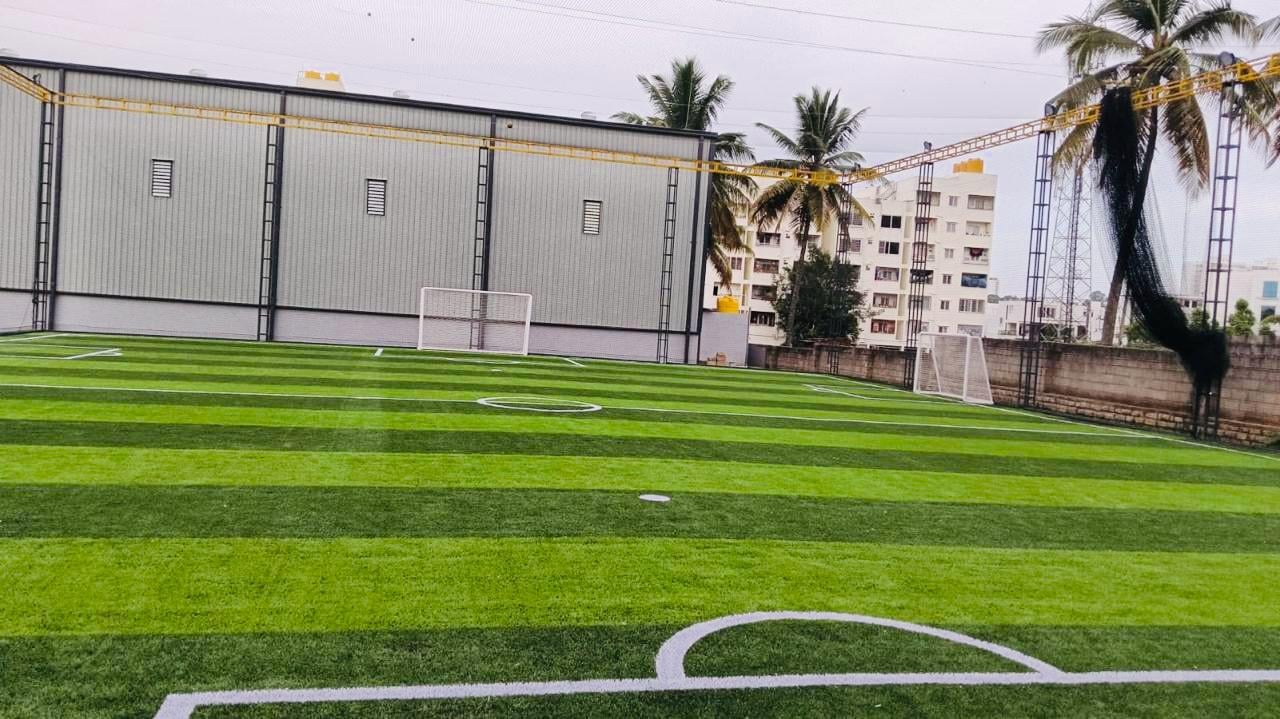 Turf photo 8